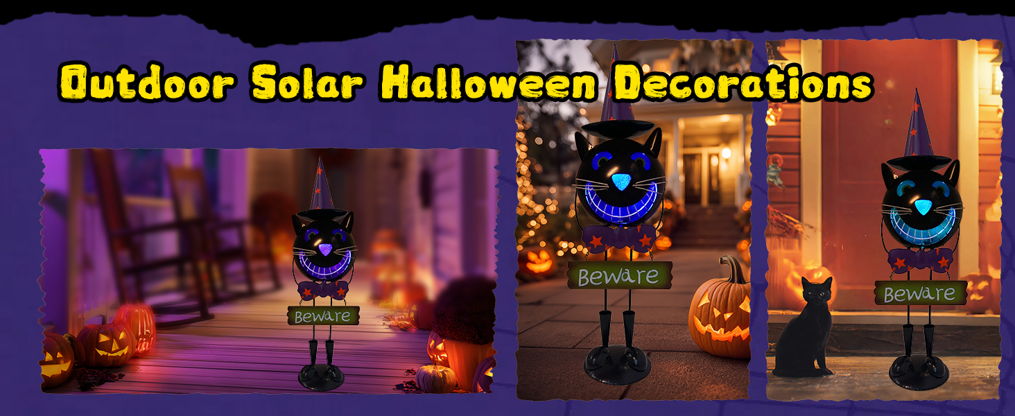 night views of a black cat statue decor