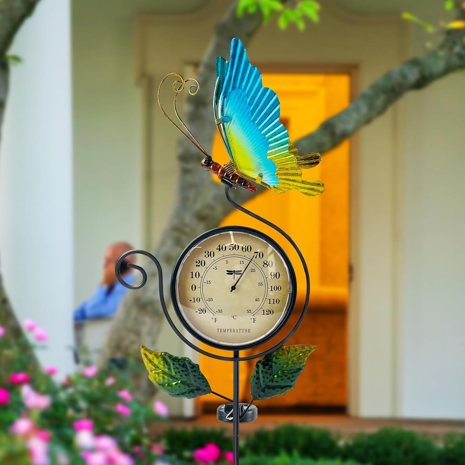 71BgHXNkdzL._SL1500_