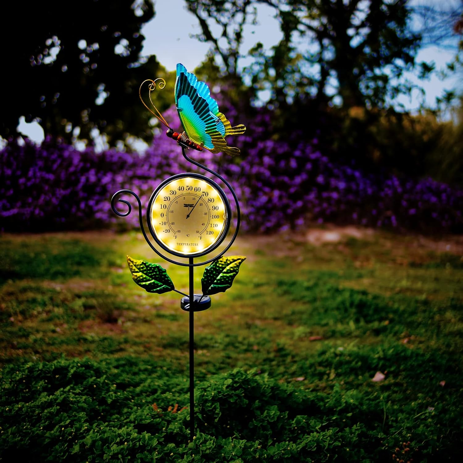 71RJmVyWCRL._SL1500_