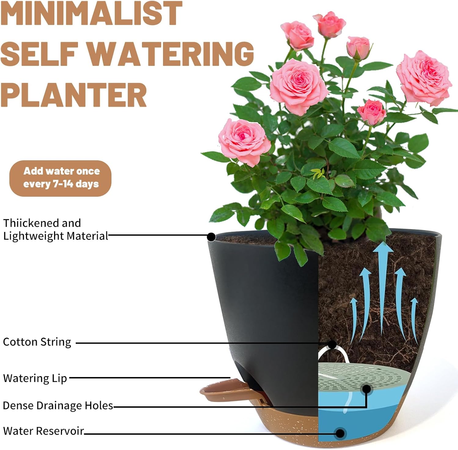 a self watering pot